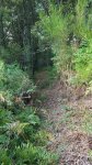 14054566_242150729513309_8729094309815988940_o.jpg