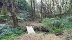 14066295_242150439513338_8912810313971896629_o.jpg