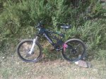 IMG_20160830_171026.jpg