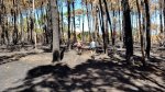 20160821_130006.jpg