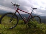 IMG_20160611_171136.jpg