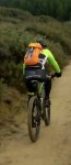 IMG-20160110-WA0020-1.jpg
