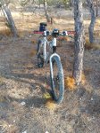 IMG_20160820_090555.jpg