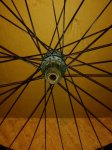 IMG_20160703_173158.jpg