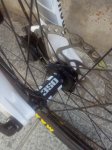 IMG_20160818_100328.jpg
