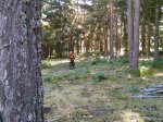 IMG_20160903_112725.jpg