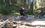 IMG_20160903_113710.jpg