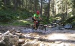 IMG_20160903_113714.jpg