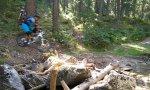 IMG_20160903_113716.jpg