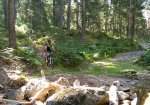 IMG_20160903_113857.jpg