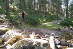 IMG_20160903_113933.jpg
