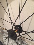 thumb_IMG_3163_1024.jpg