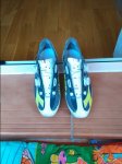 IMG_20160905_125018.jpg