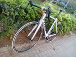 IMG_20160907_092001.jpg