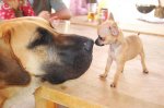 IMG_2769.JPG