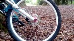 IMG_20160907_104311.jpg