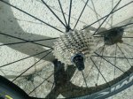 IMG_20160906_135051.jpg