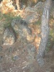 DSCN3935comprimida.JPG