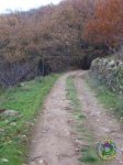 resized_valledeljerte (28).jpg
