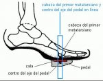 calas2.JPG