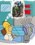 homer.JPG