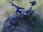 bici recorta jpg.jpg