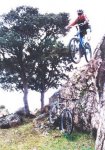 valle2003.jpg