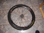 DSC01538.jpg