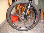 DSC01540.jpg