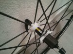 IMG_20160908_135522.jpg