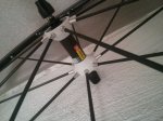 IMG_20160908_135531.jpg