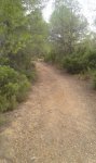 20150818_124621.jpg
