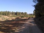 20160809_185834.jpg