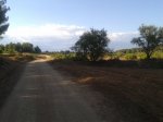 20160809_185837.jpg