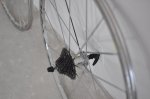 _DSC0039.JPG