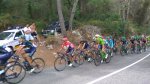 IMG_20160910_134756.jpg