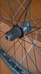 20160911_203826.jpg