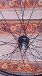 IMG_20160912_123126.jpg