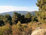 IMG_20160910_101318.jpg