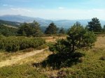 IMG_20160910_125444.jpg