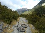 DSC08915.JPG