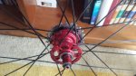 20160914_163444.jpg