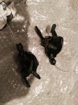 IMG_20160823_131609.jpg
