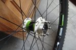 DSC02665.JPG