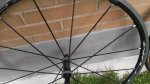 20160914_180325.jpg