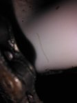IMG_20160915_173909.jpg