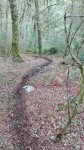 IMG_20160914_122026.jpg