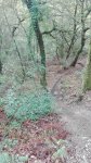 IMG_20160914_103803.jpg
