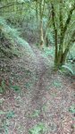 IMG_20160914_121200.jpg