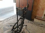 IMG_20160916_083845.jpg